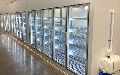 Cámaras frigoríficas comerciales: la clave para conservar productos y optimizar tu negocio