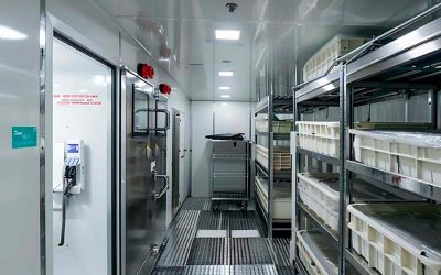 Refrigerantes ecológicos: cómo los nuevos sistemas de refrigeración impulsan un modelo más eficiente y sostenible